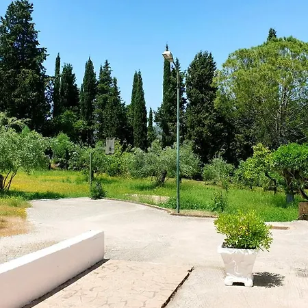 Calondri 1 In Achilleion Region *